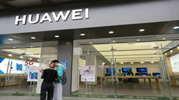 上海信息网科技