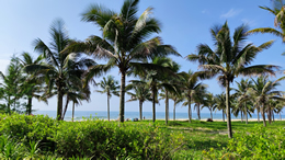 最低给发送三道杠是萨芬个88