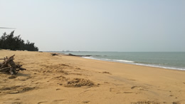 最低给发送三道杠是萨芬个88