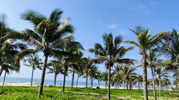  中国乳业信息网