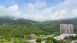 车商网-南北汽车网