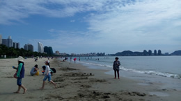 酒水信息网科技