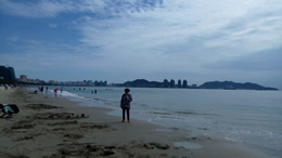  中国玩具新闻网